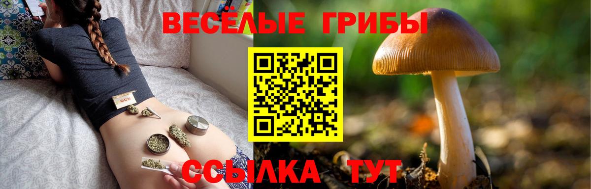 Псилоцибиновые грибы ЛСД  Вход с VPN  где продают наркотики  Россия 